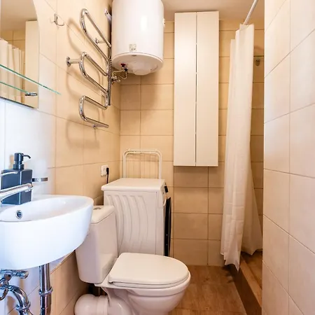 Small Studio Apartment Apartment Kaunas